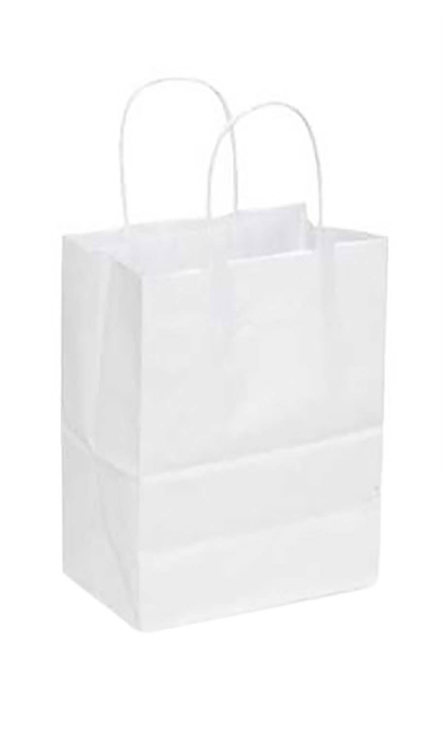 Kraft Paper Shopping Bags: White / Case of 100 / Large