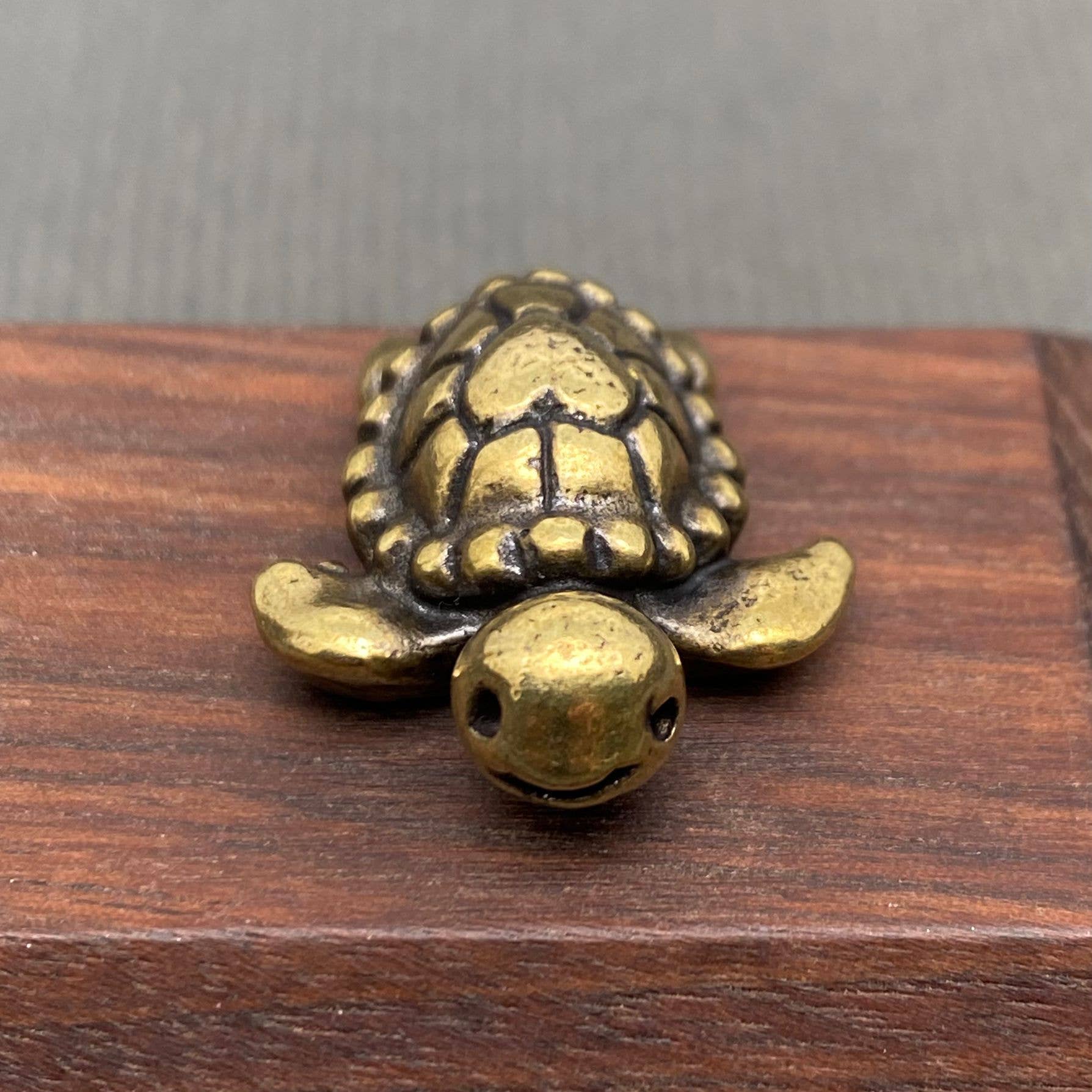 Brass Mini Turtle