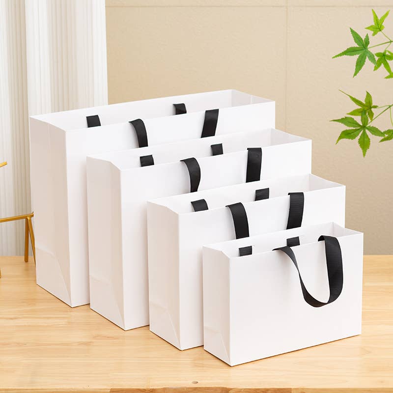 Premium Threaded Rope White Paper Gift Bag w/ free tissue: Small