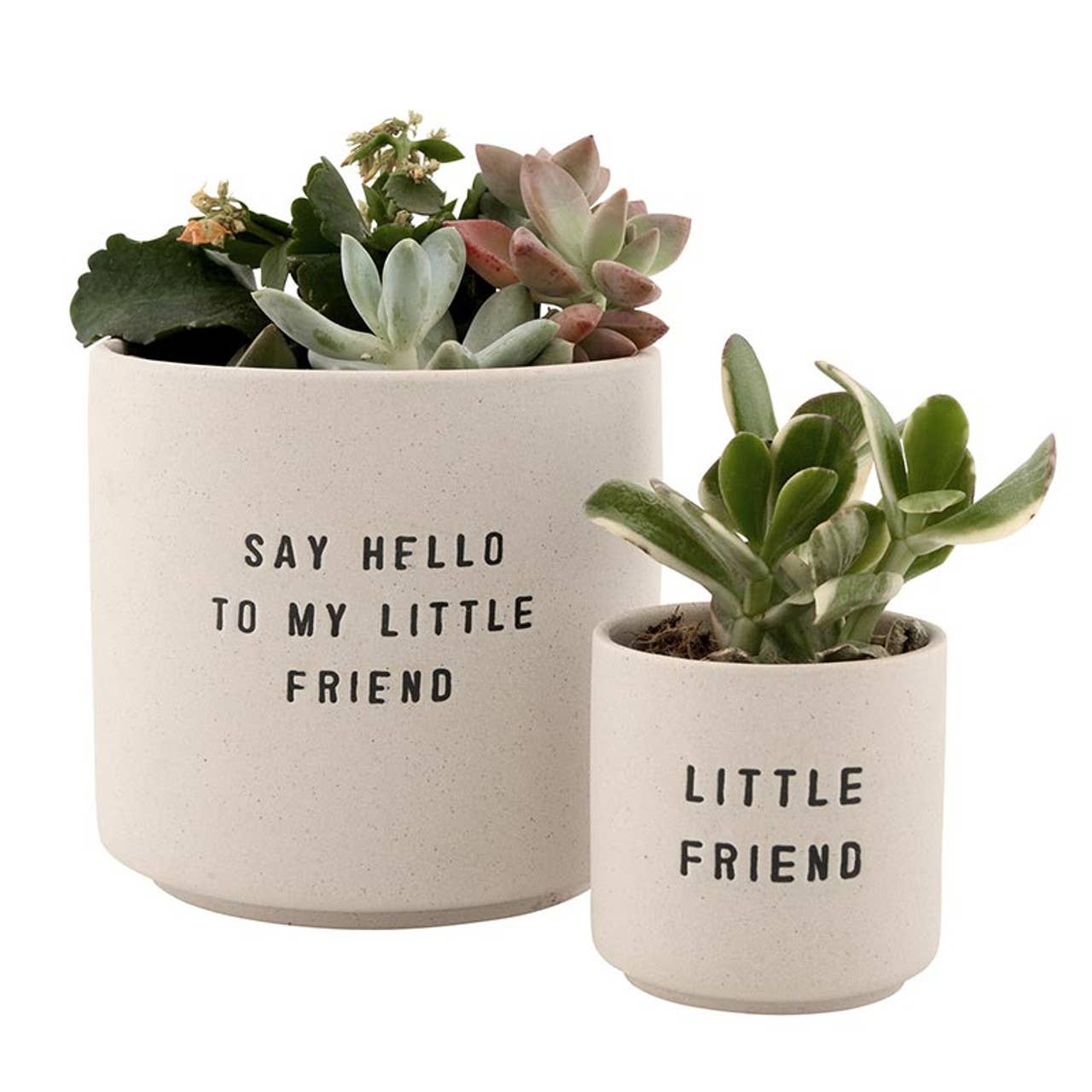Ceramic Planting Pots - Set of 2: Material