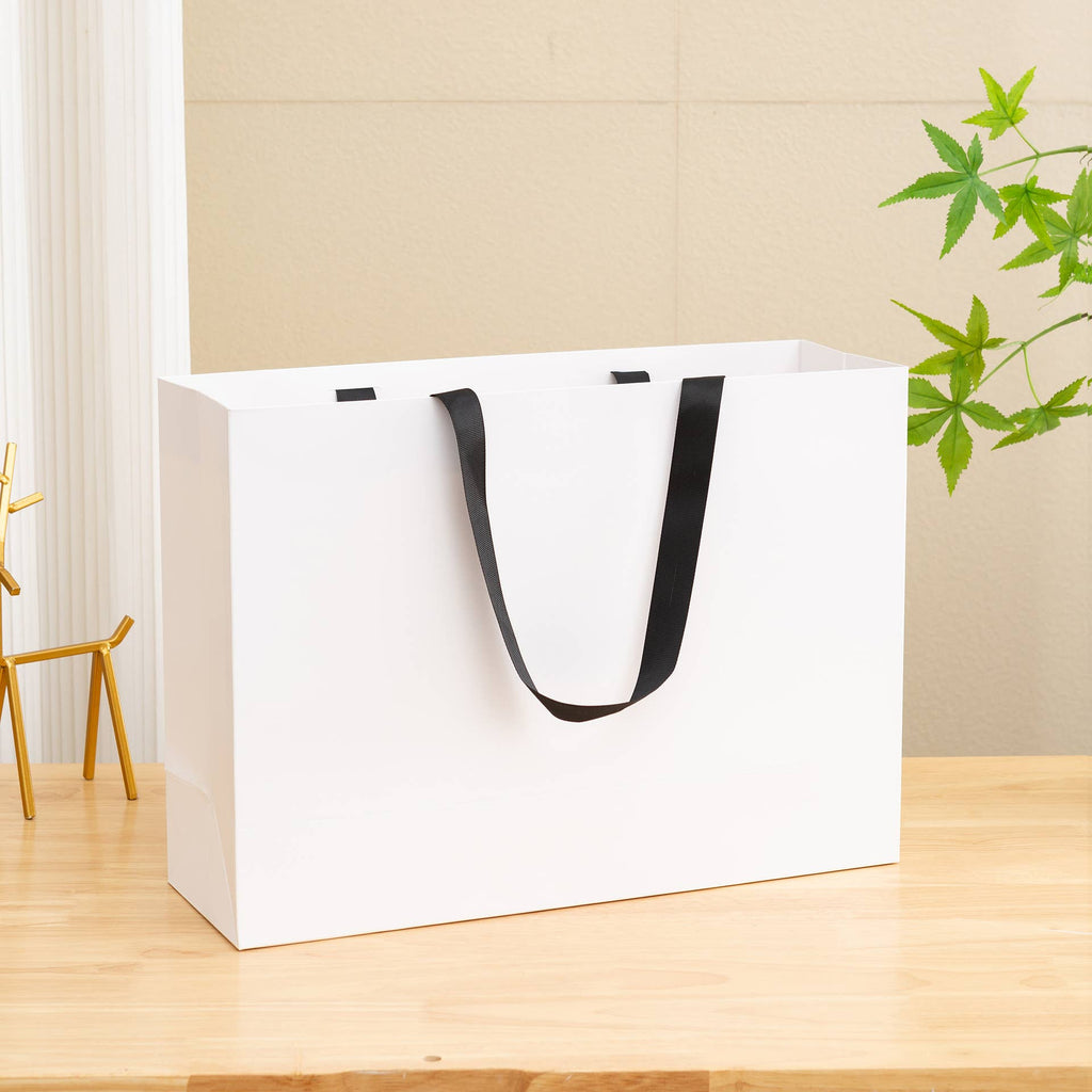 Premium Threaded Rope White Paper Gift Bag w/ free tissue: Small