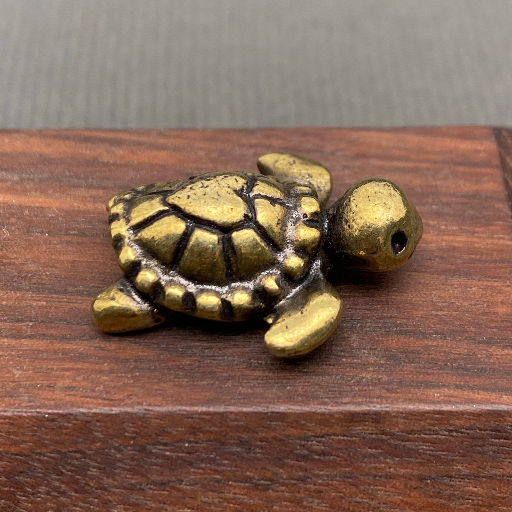 Brass Mini Turtle