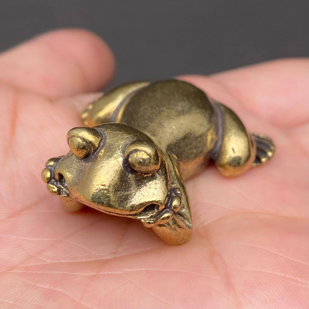 The Frog in Meditation