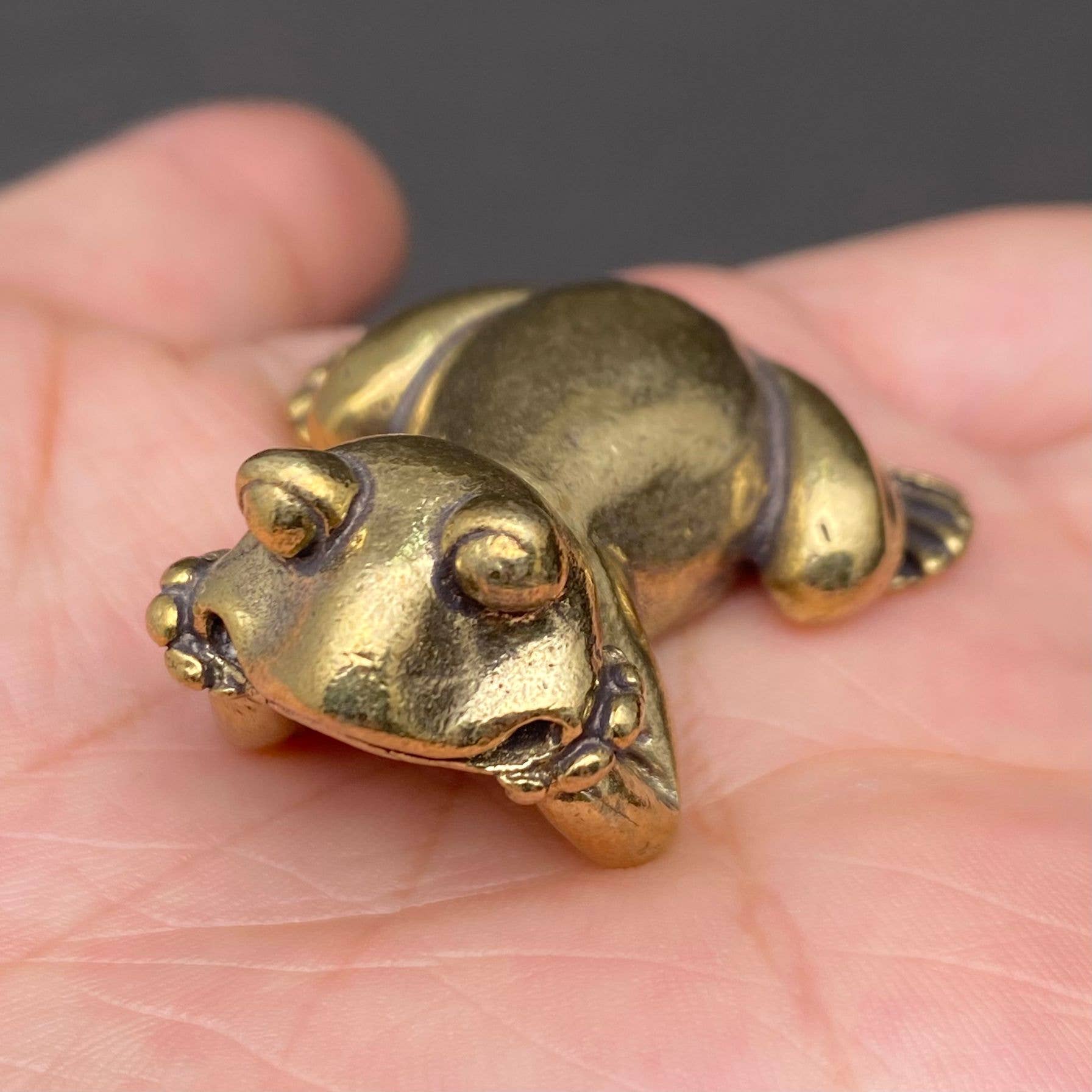 The Frog in Meditation