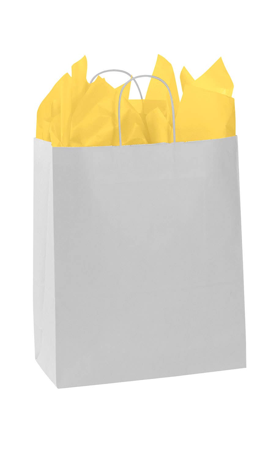 Kraft Paper Shopping Bags: White / Case of 100 / Small