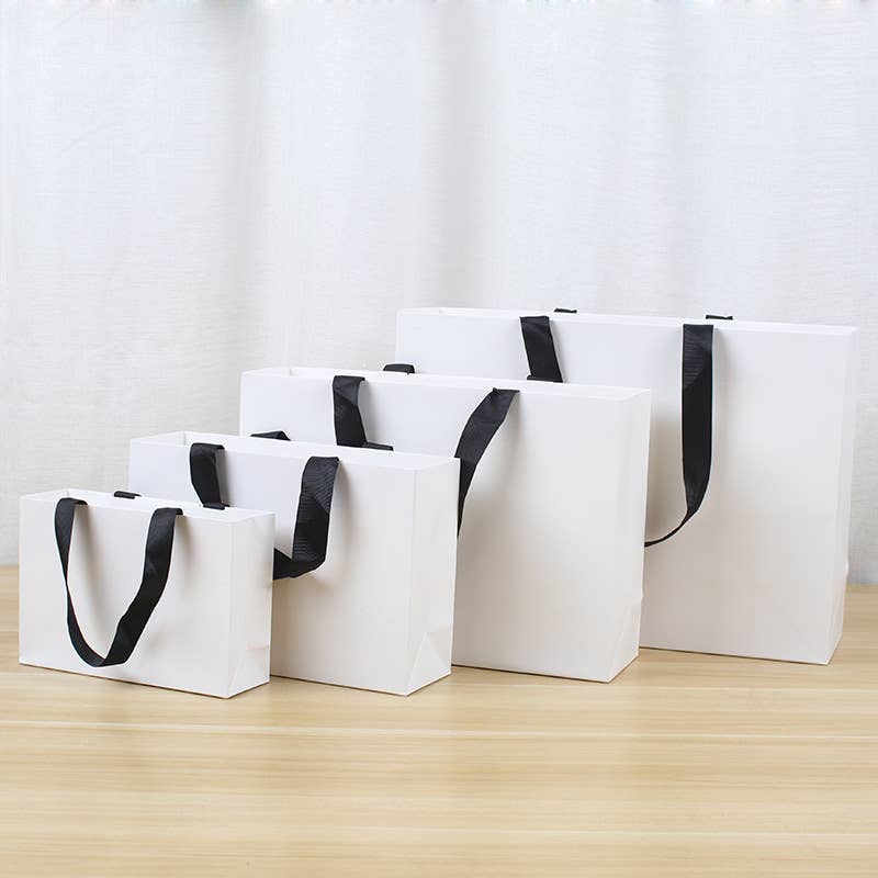 Premium Threaded Rope White Paper Gift Bag w/ free tissue: Small