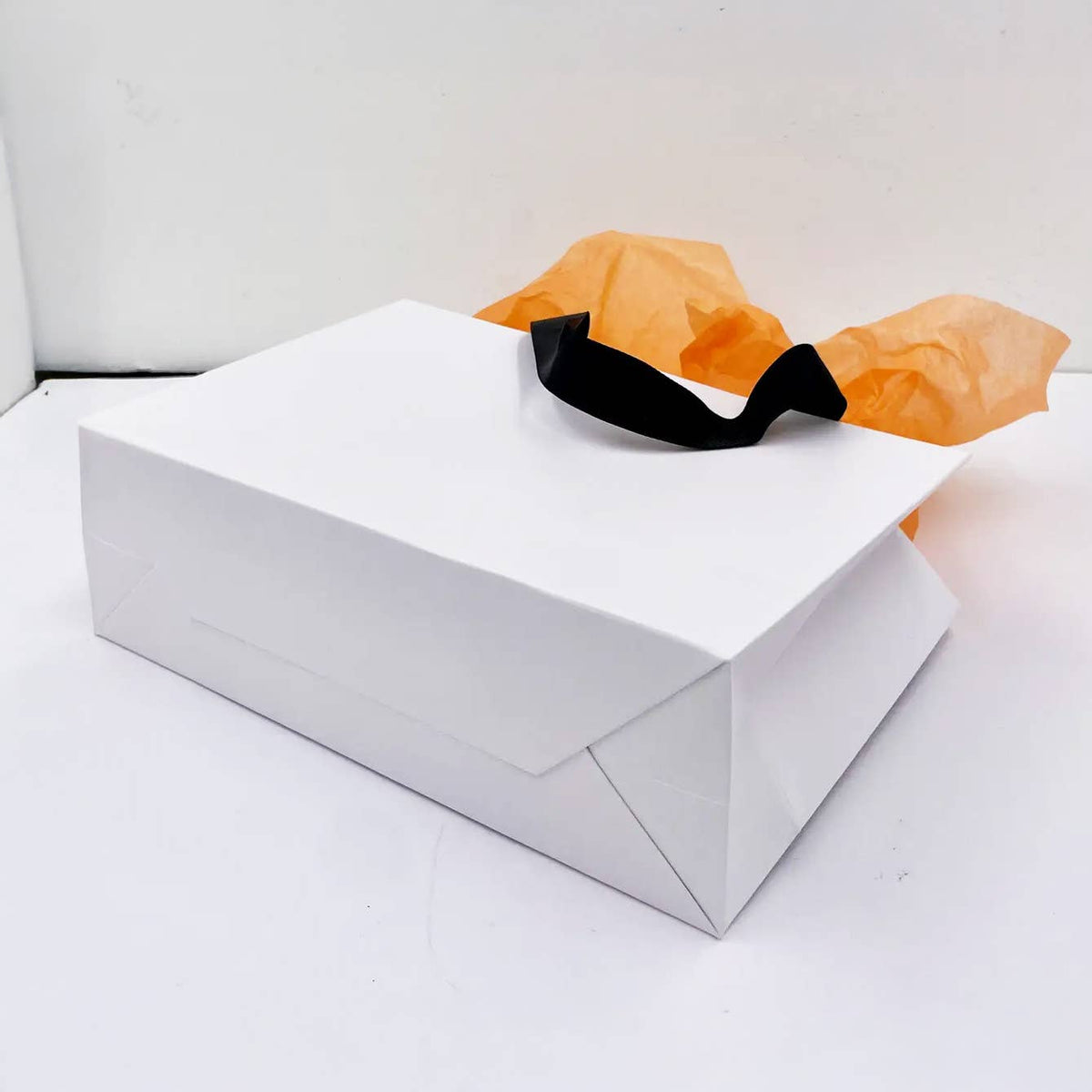 Premium Threaded Rope White Paper Gift Bag w/ free tissue: Large