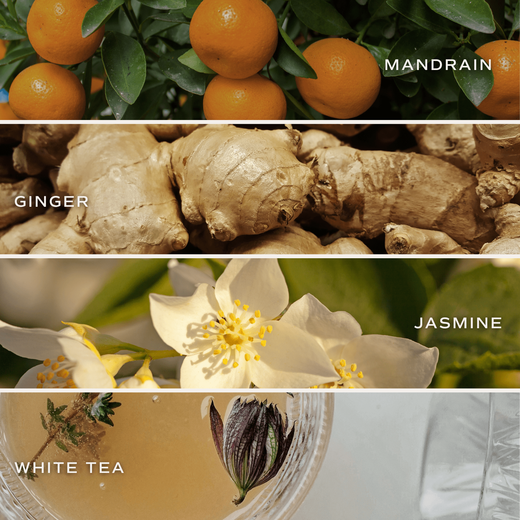 *NEW* White Tea and Jasmine 11 oz Soy Candle - Home Decor