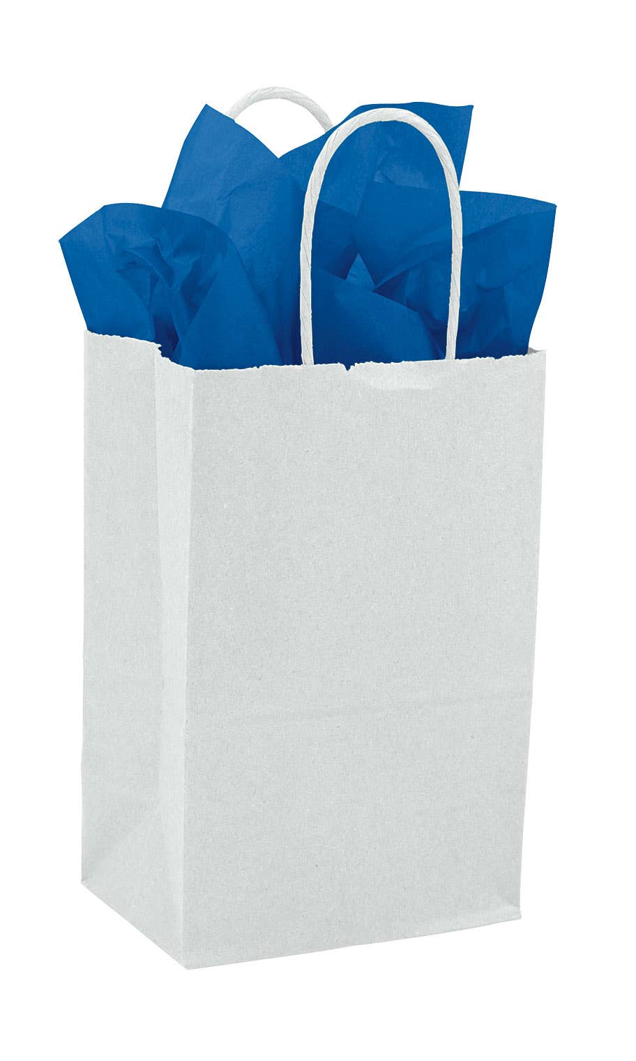Kraft Paper Shopping Bags: White / Case of 100 / Large