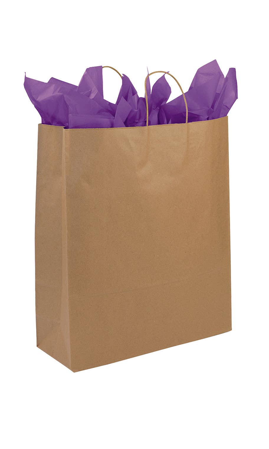 Kraft Paper Shopping Bags: White / Case of 100 / Large