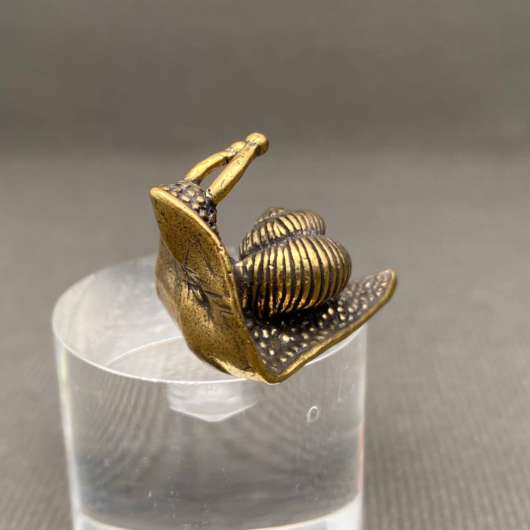 Brass Snail