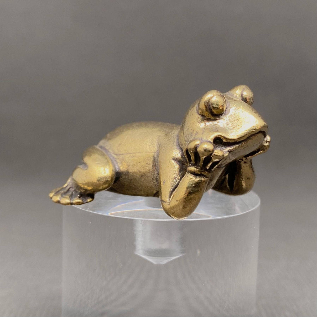 The Frog in Meditation