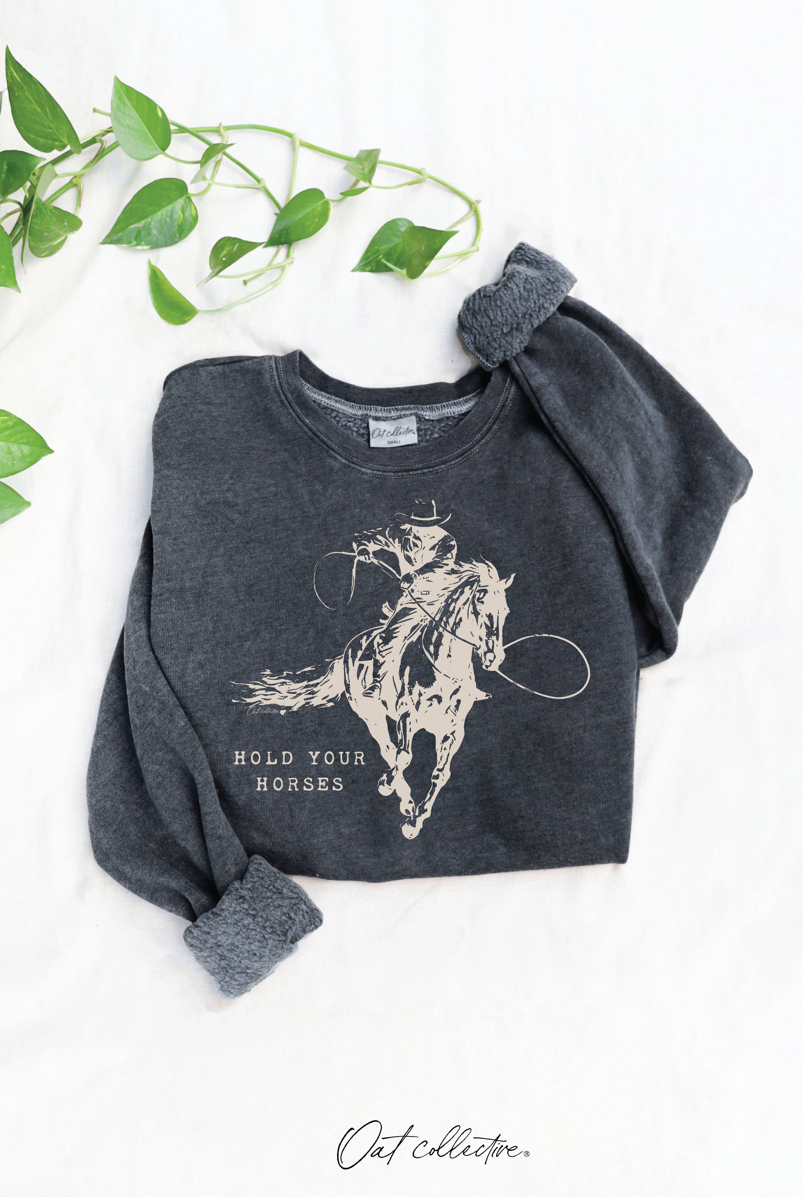 HOLD YOUR HORSES Mineral Graphic Sweatshirt: DUSTY FOREST / XL