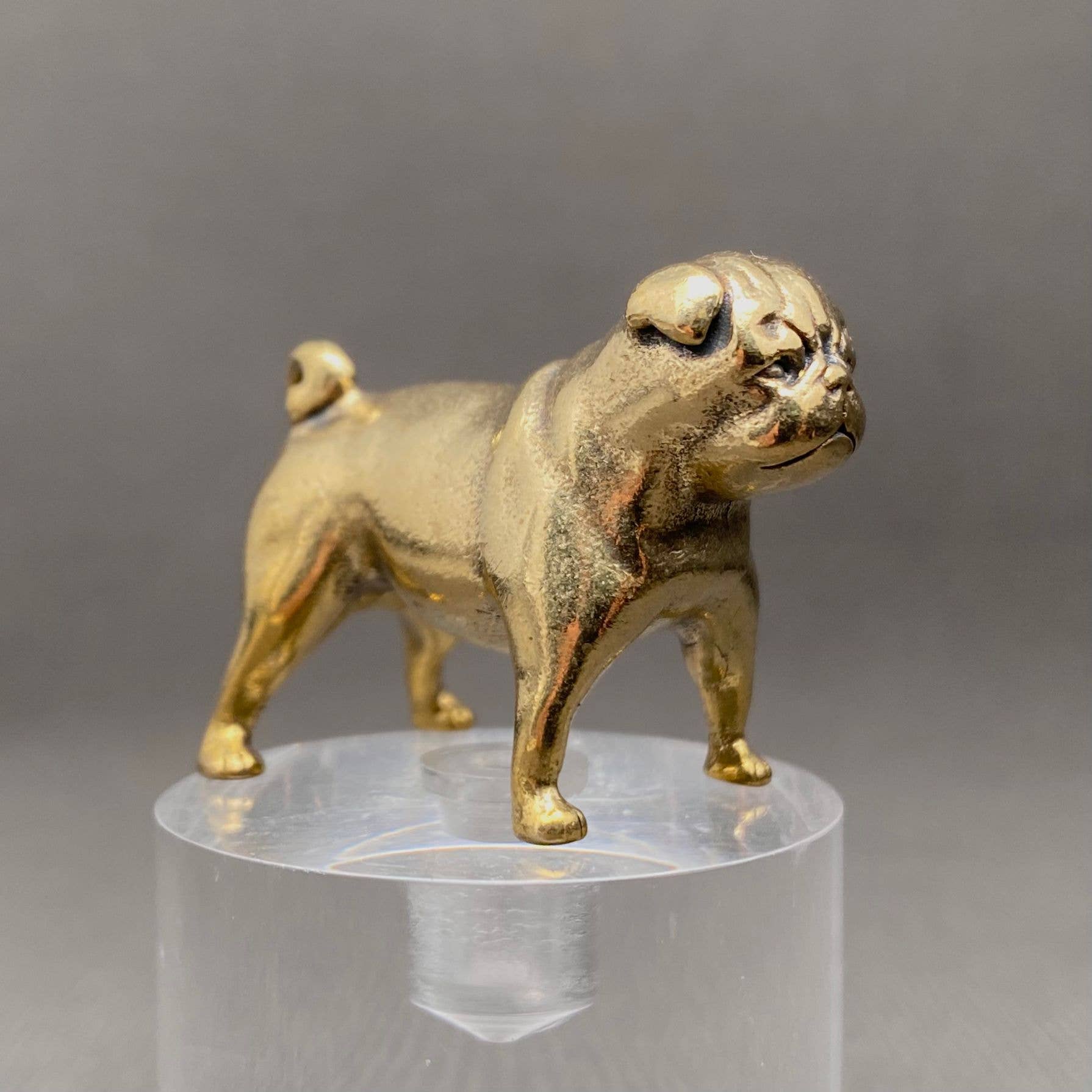 Brass Bulldog