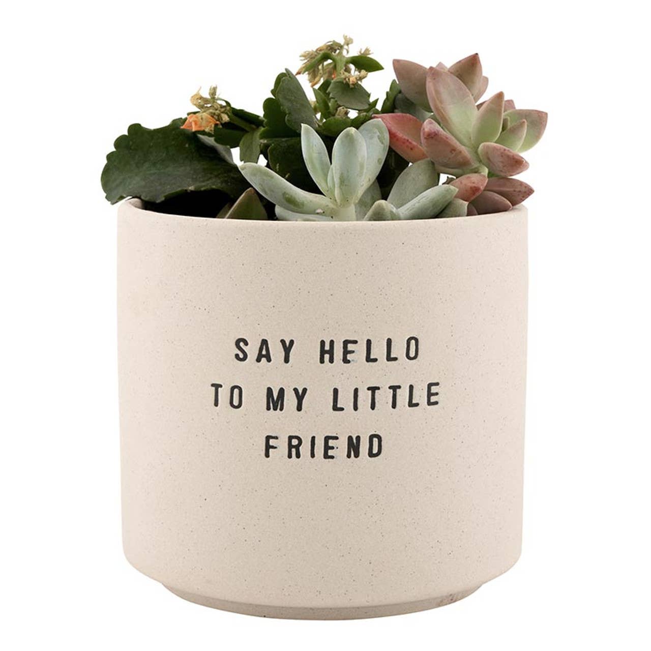 Ceramic Planting Pots - Set of 2: Material