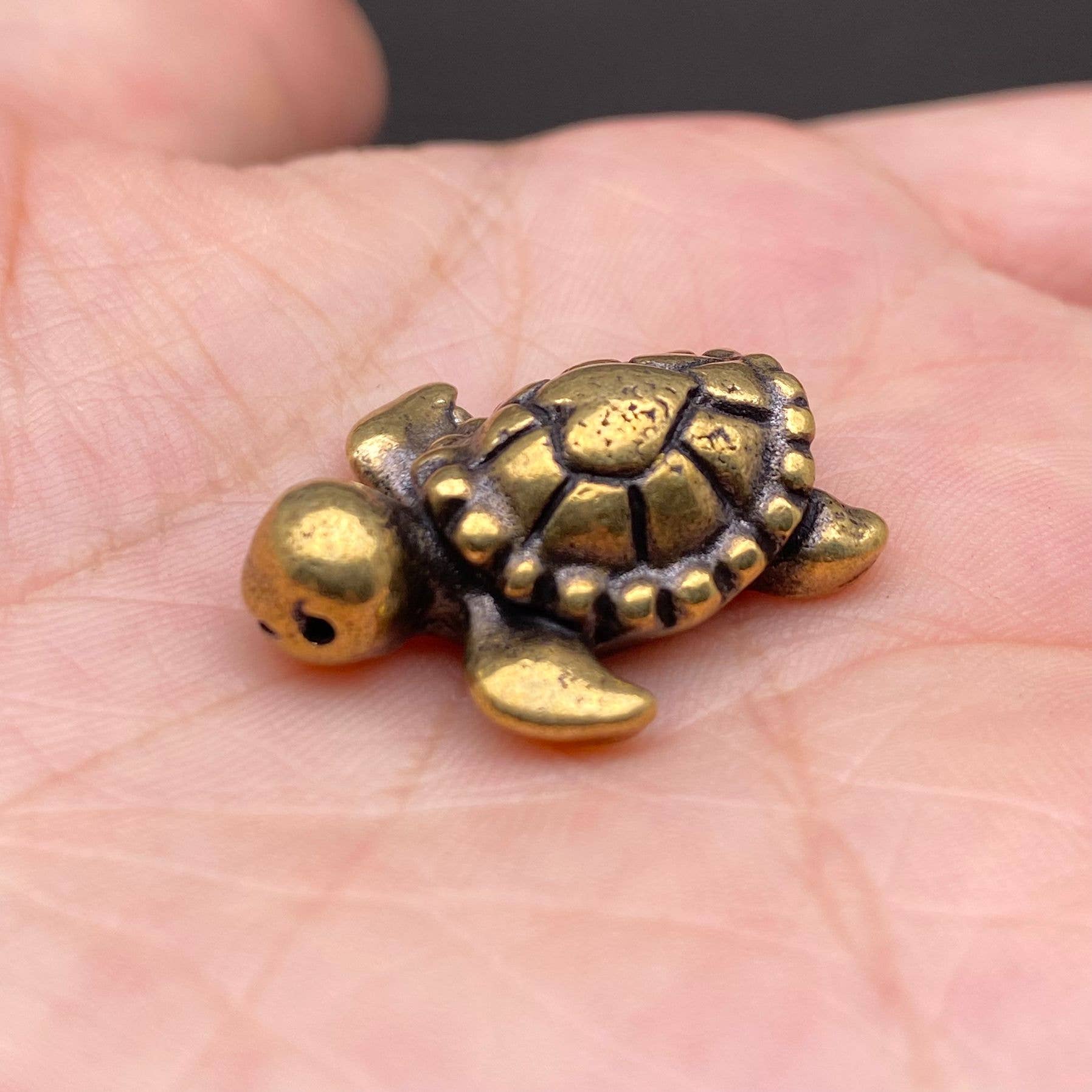 Brass Mini Turtle