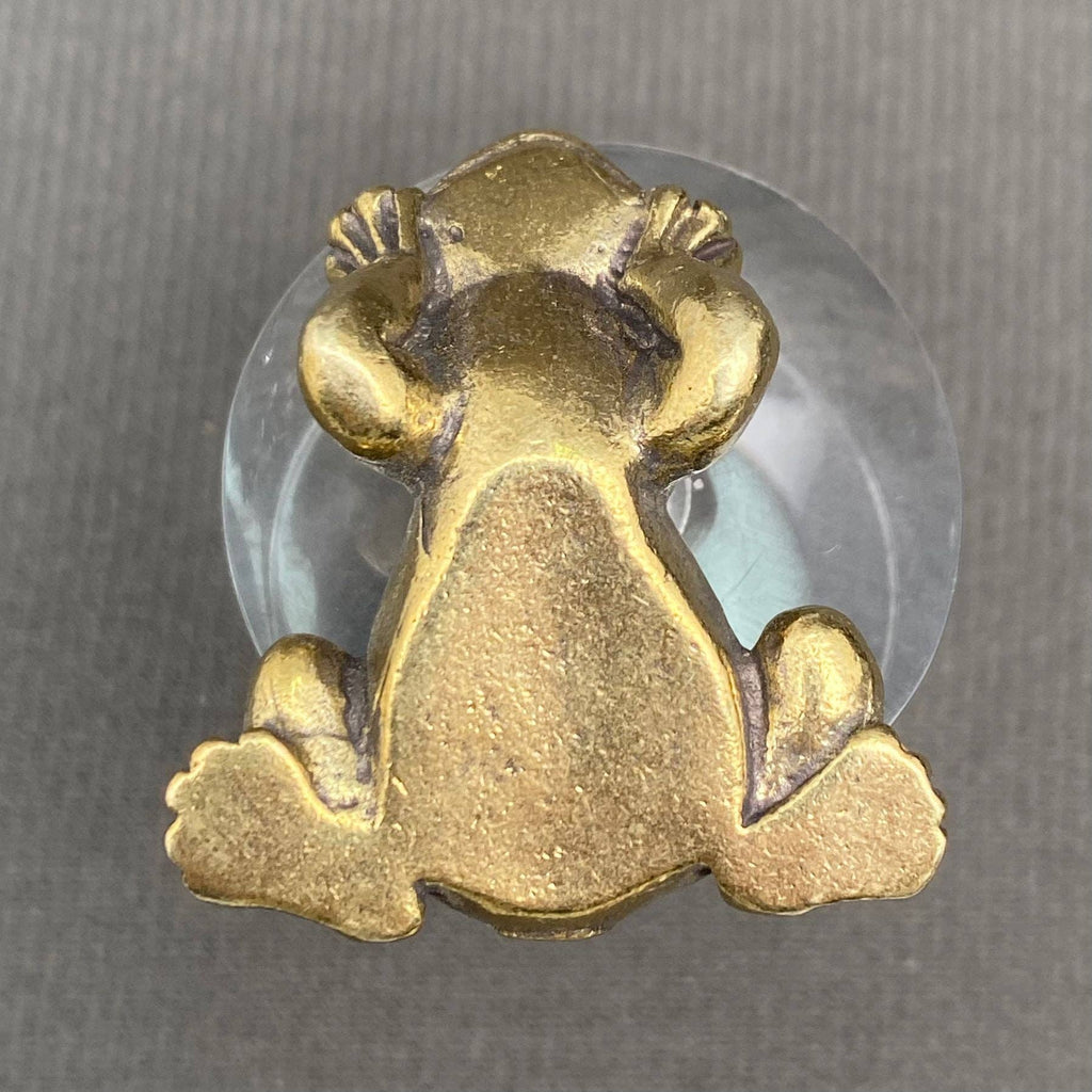 The Frog in Meditation