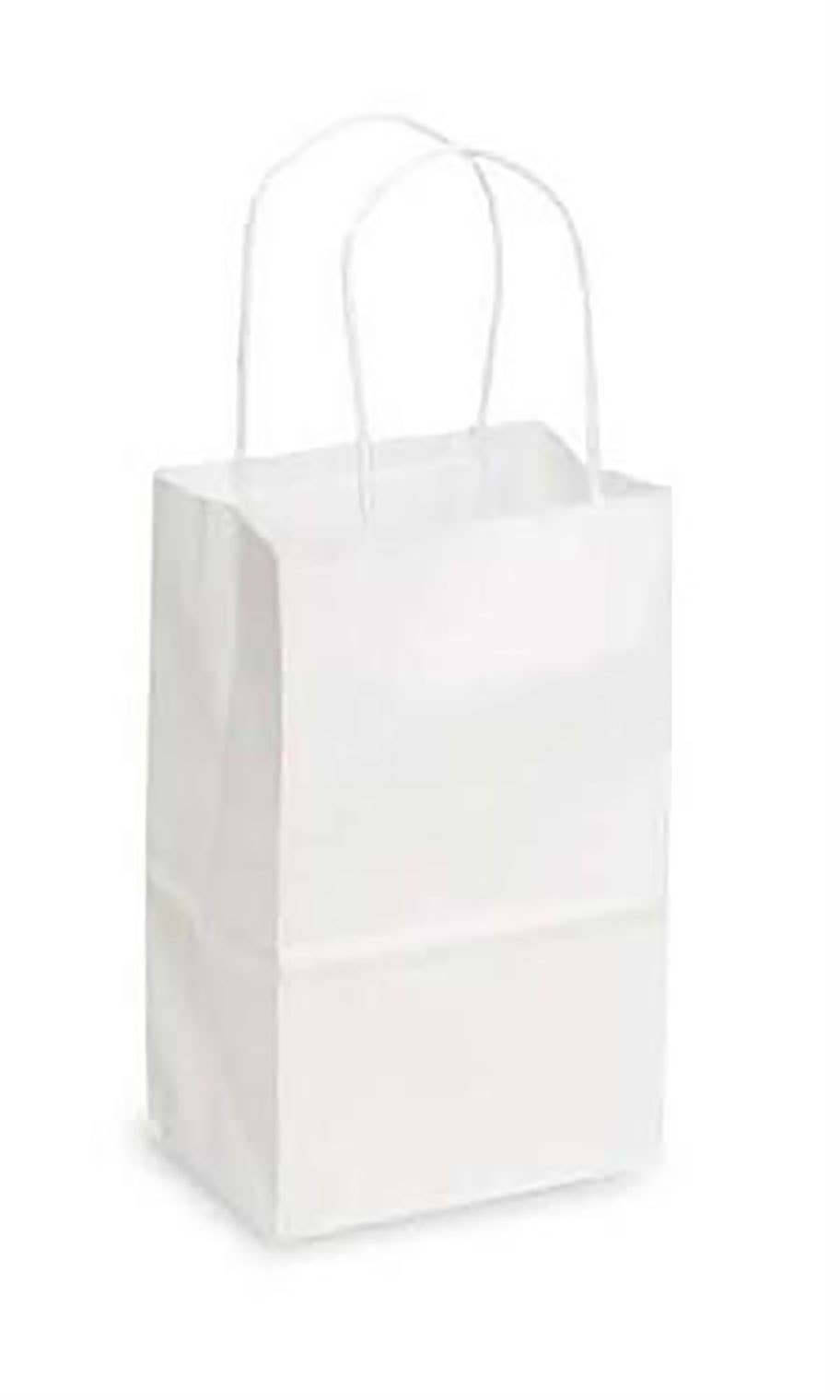 Kraft Paper Shopping Bags: White / Case of 100 / Small