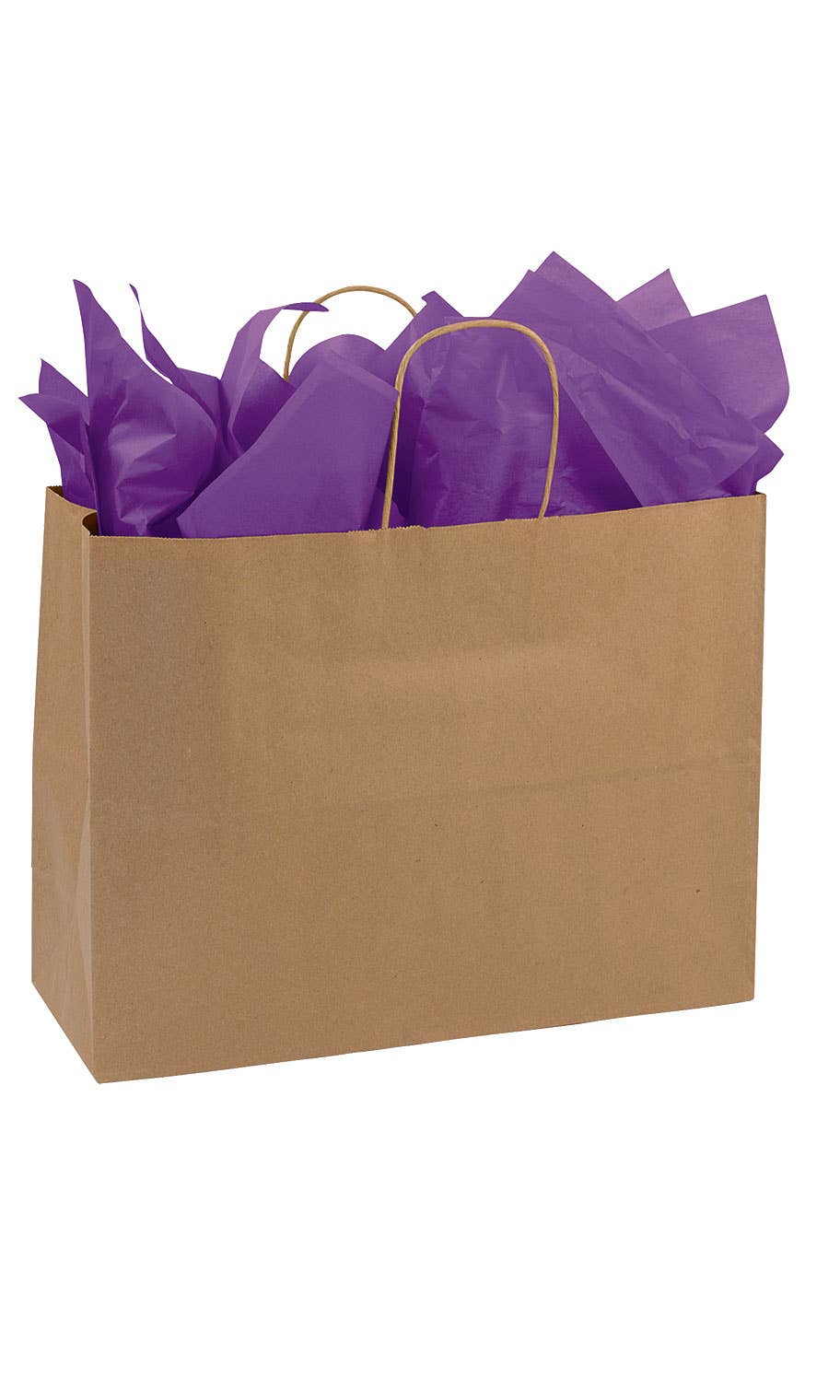 Kraft Paper Shopping Bags: White / Case of 100 / Small