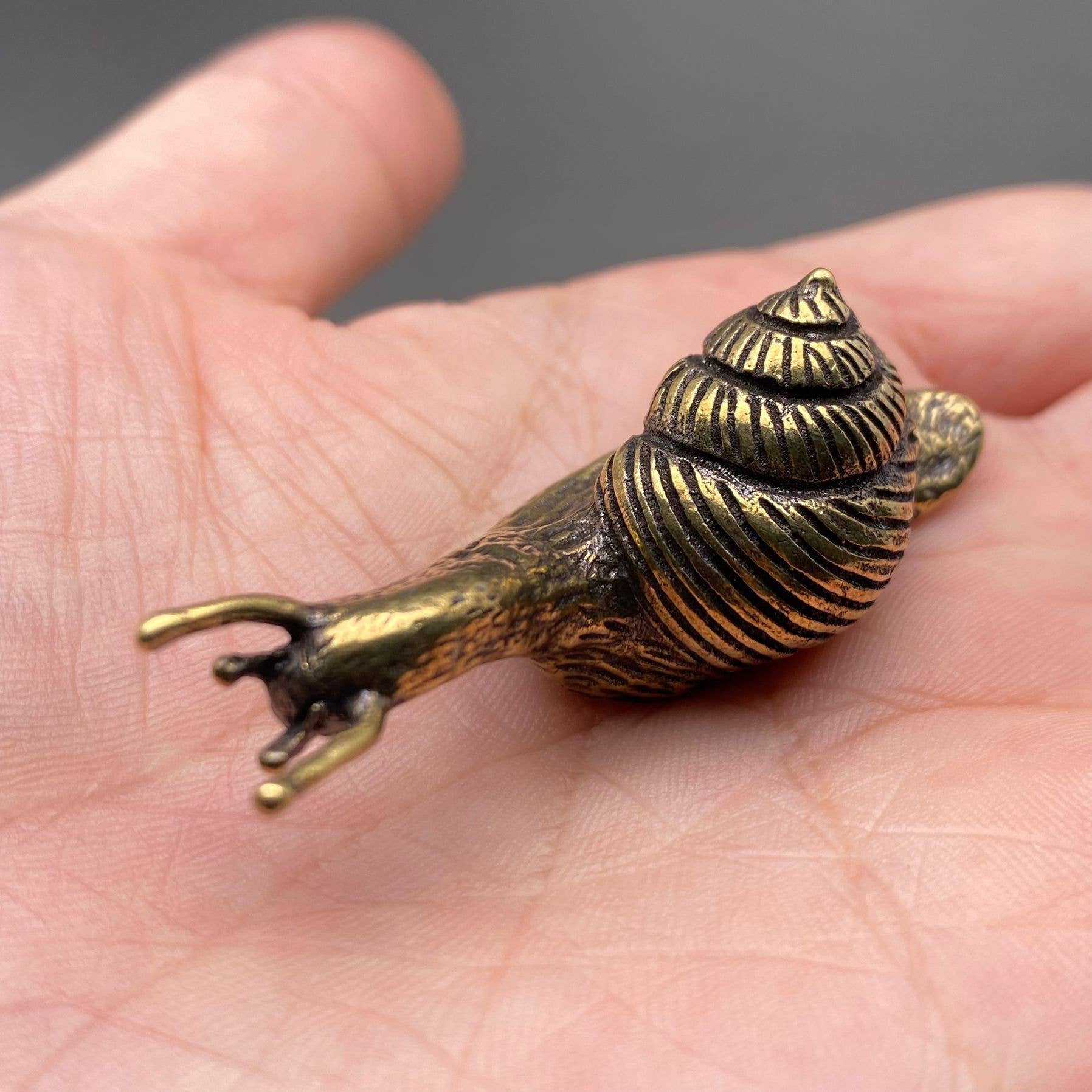 Brass Snail