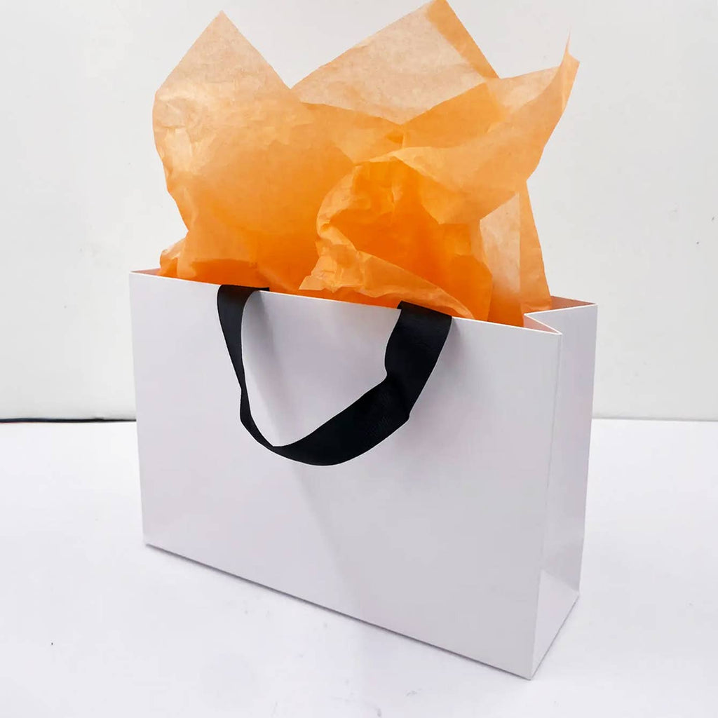 Premium Threaded Rope White Paper Gift Bag w/ free tissue: Large