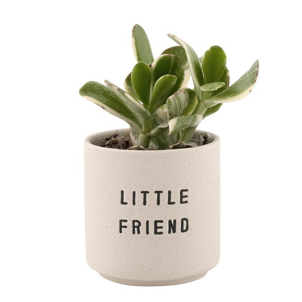 Ceramic Planting Pots - Set of 2: Material