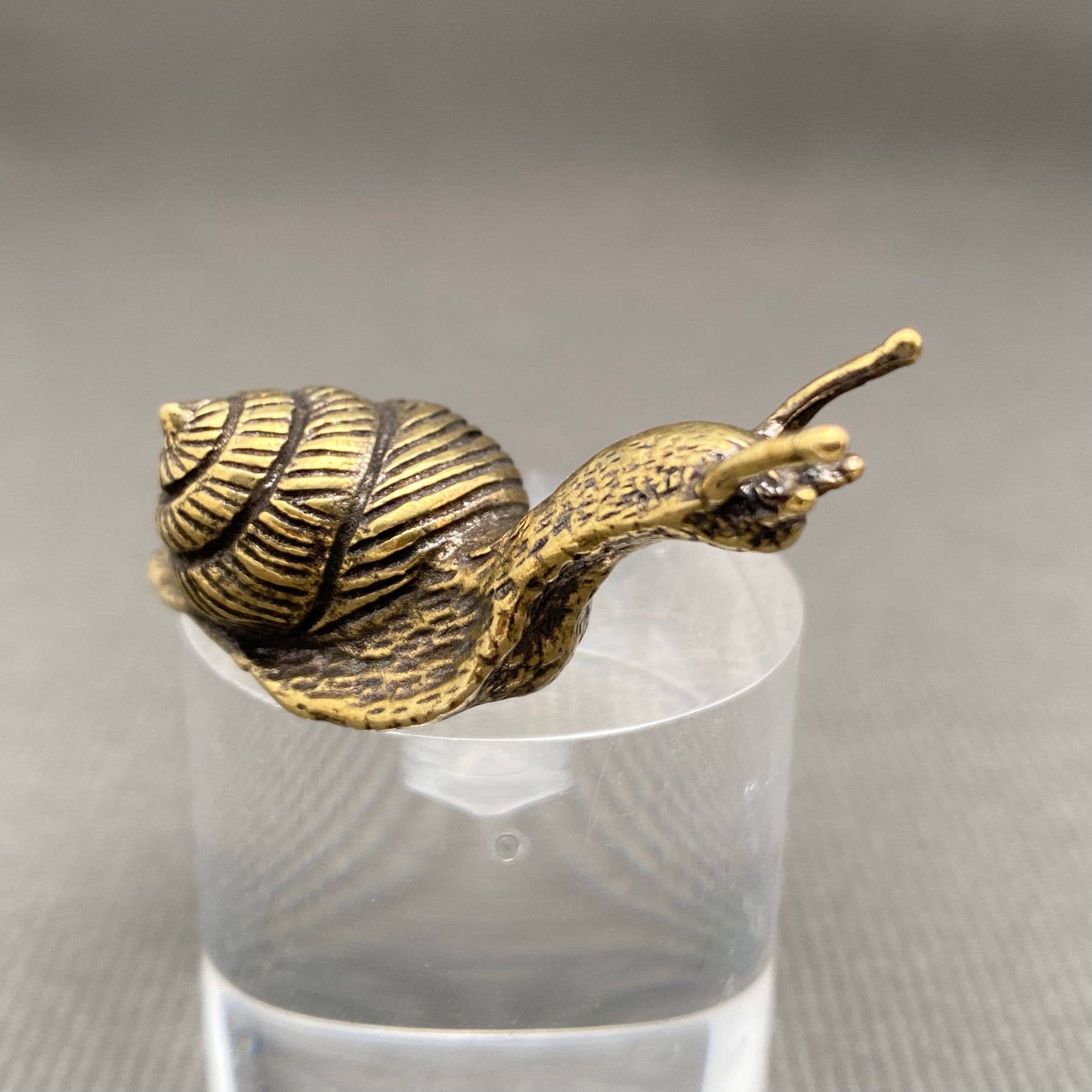 Brass Snail