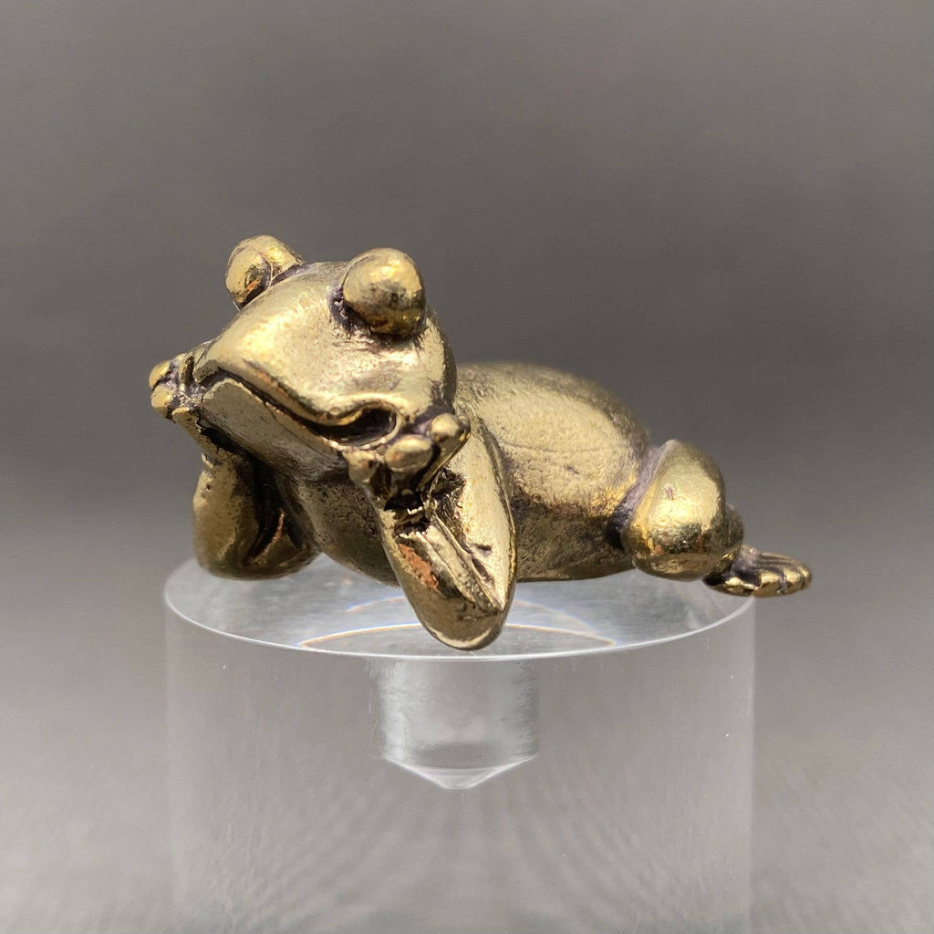 The Frog in Meditation