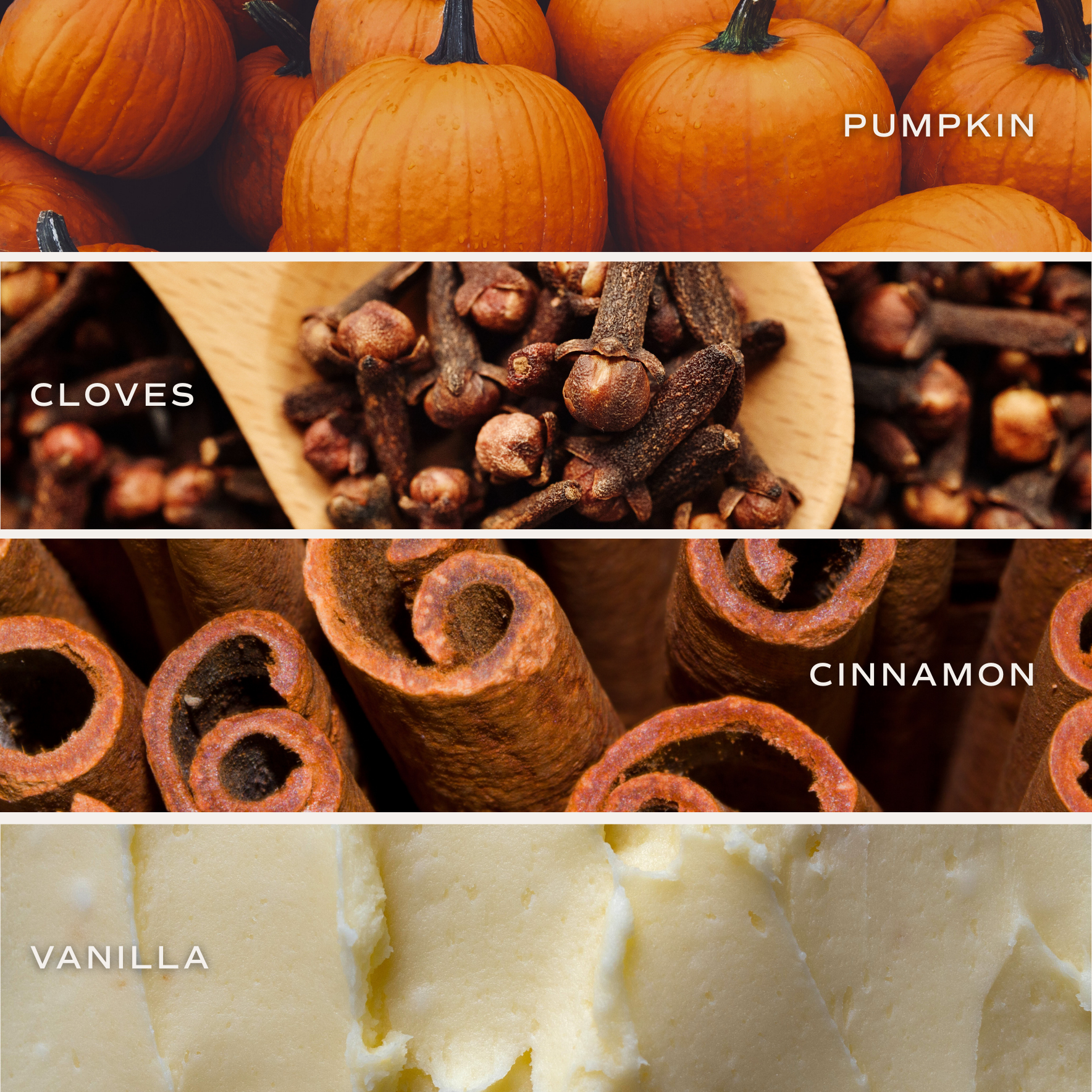 Pumpkin Spice 9 oz Soy Candle - Fall Decor and Gifts