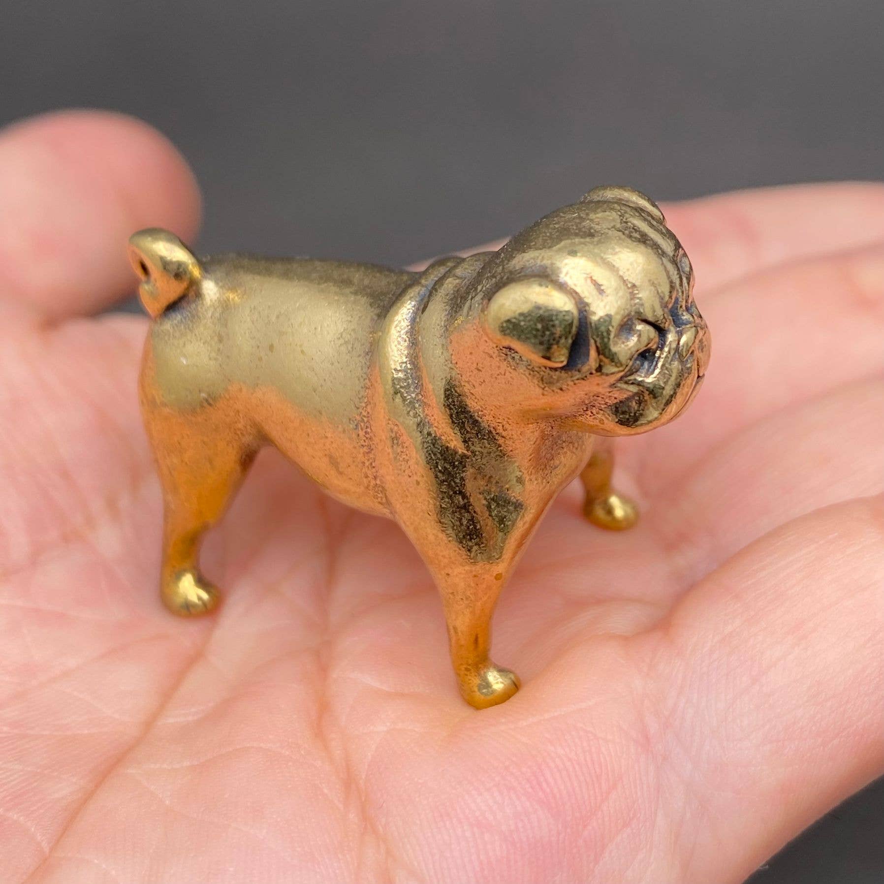 Brass Bulldog