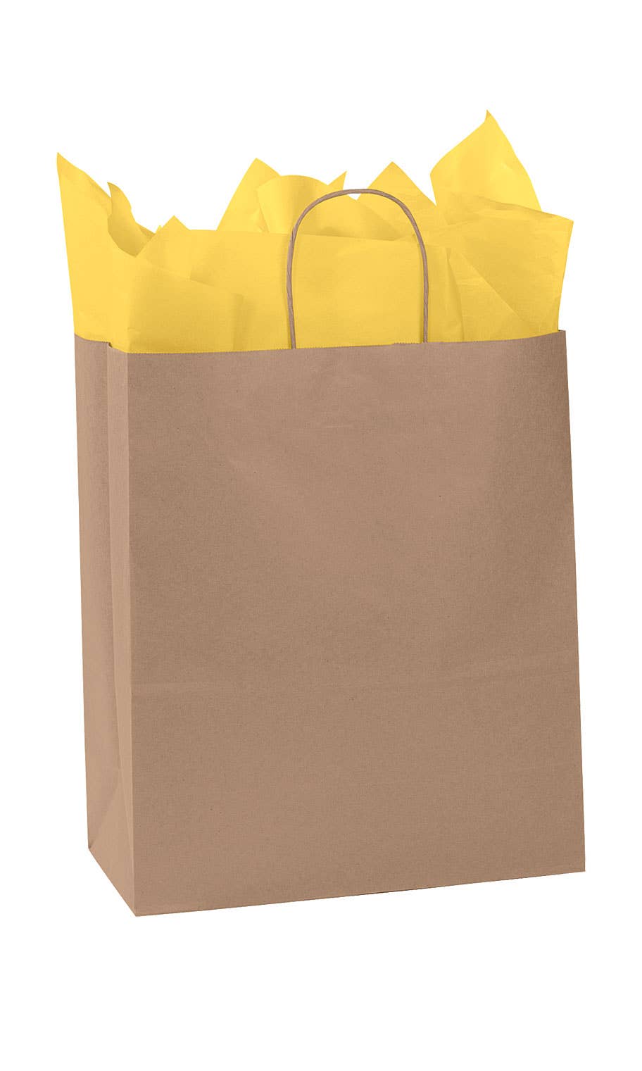 Kraft Paper Shopping Bags: White / Case of 100 / Large