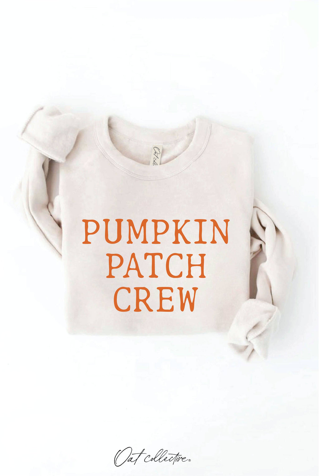 PUMPKIN PATCH CREW Graphic Sweatshirt: HEATHER DUST / S
