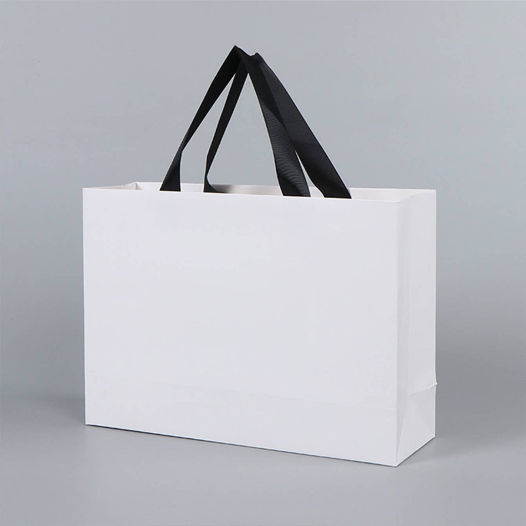 Premium Threaded Rope White Paper Gift Bag w/ free tissue: Small